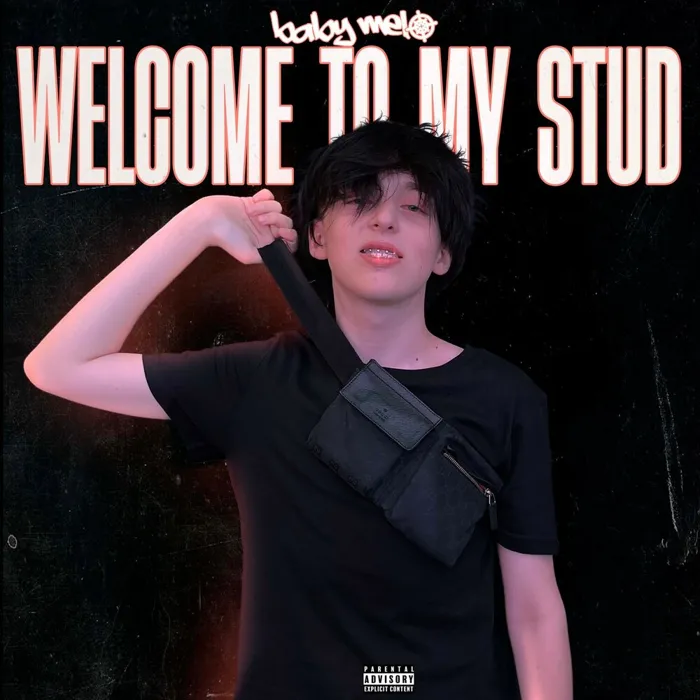 Welcome to my stud