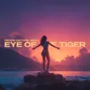 Eye of the Tiger