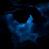 Secrets of the Depths