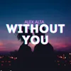 Without You
