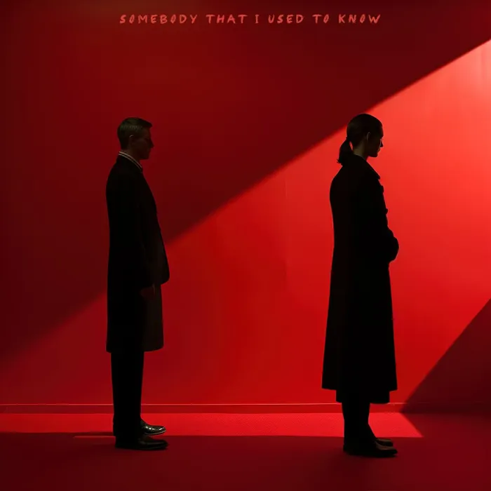 Somebody That I Used to Know