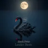 Nocturne Swan