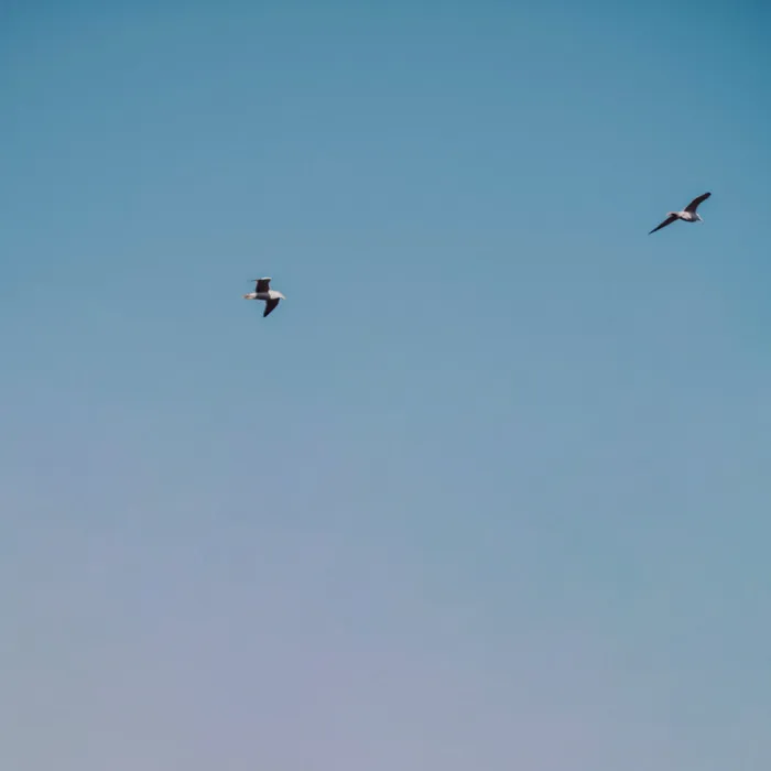 С тобой