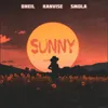 Sunny