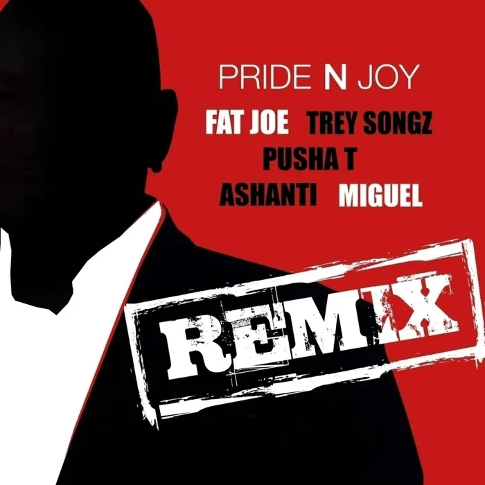 Pride N Joy Remix - Single