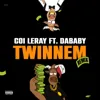 TWINNEM
