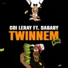 TWINNEM