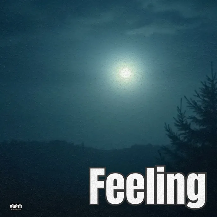 Feeling
