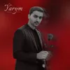 Ýarym