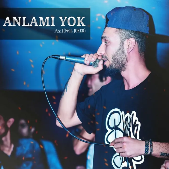 Anlamı Yok