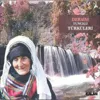 Dersimin Orta Yerinde
