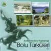 Ada Yolu Kestane