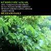 Viyolonsel Taksimi: Kürdili Hicazkar / Hüzzam Faslı (Enstrümantal)