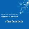 Ben Seni Çok Özledim Annem