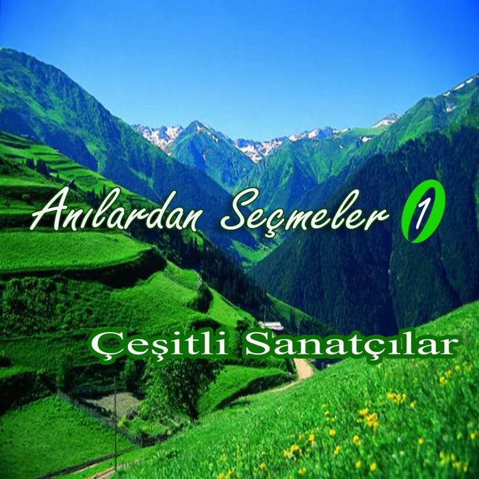 Anılardan Seçmeler, No. 1