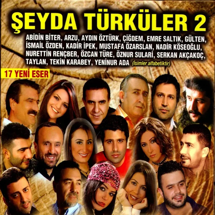 Şeyda Türküler, Vol. 2