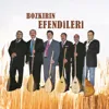 Vay Gardaşım