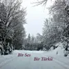 El Olmuşam