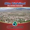 Karanfili Gül Dalına Deyende