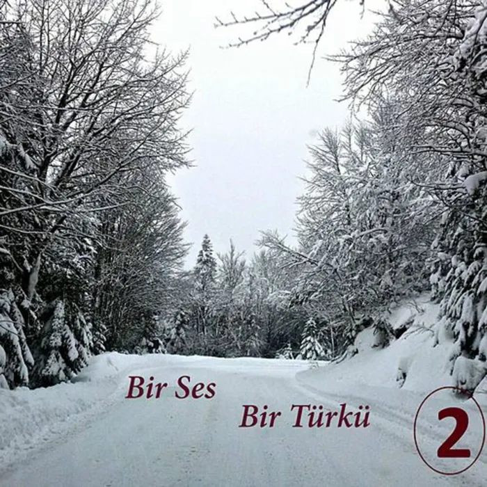 Bir Ses Bir Türkü, Vol.2