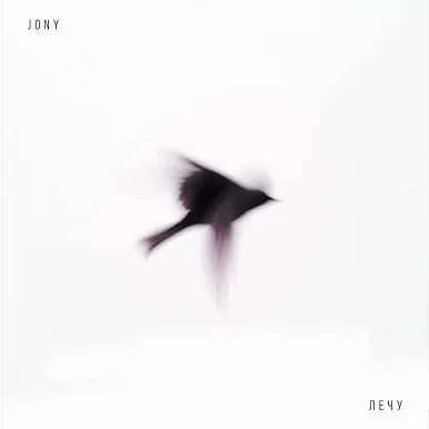 Лечу