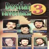 Gideceğim Bu Ellerden