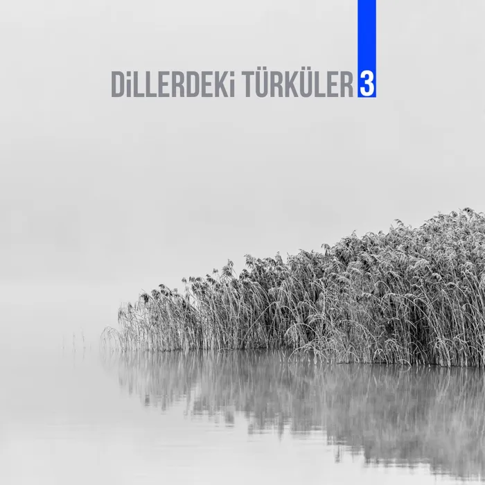 Dillerdeki Türküler 3