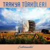 Fikrimin İnce Gülü