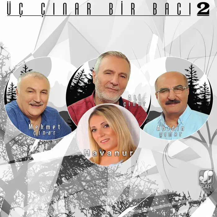 Üç Çınar Bir Bacı, Vol.2