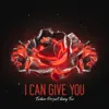 I Can Give You
