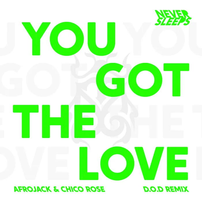 You Got The Love