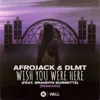 Wish You Were Here