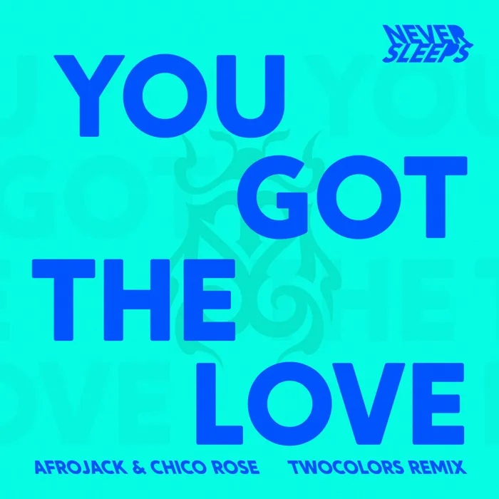 You Got The Love