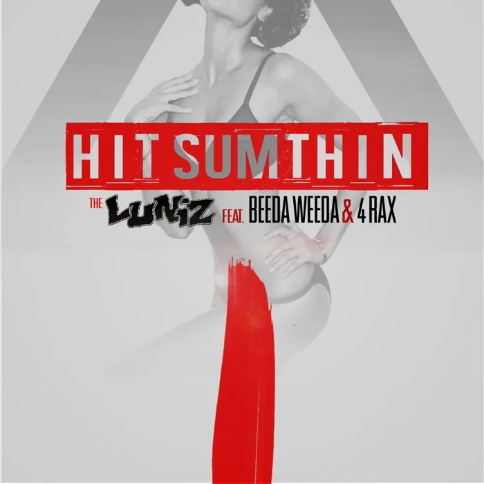 Hit Sumthin - Single