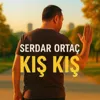 Kış Kış