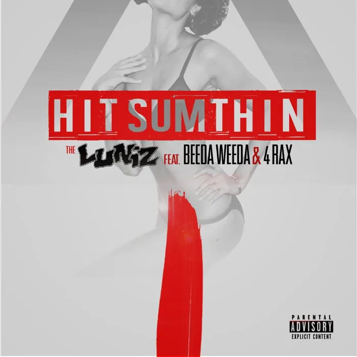 Hit Sumthin - Single