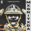 MXGNITXDA