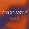 Enchanté