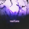 Too Late (Speed up)