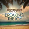 Breaking The Ice