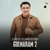 Gulnaram 2