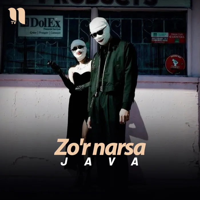 Zo'r narsa