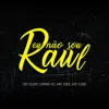 Eu Não Sou Raul