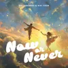 Now or Never