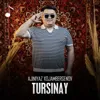Tursinay