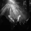 ANGEL SOUL
