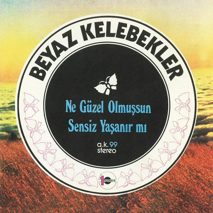 Ne Güzel Olmuşsun / Sensiz Yaşanır mı
