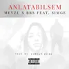 Anlatabilsem