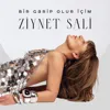 Bir Garip Olur İçim