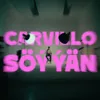 Söýýän